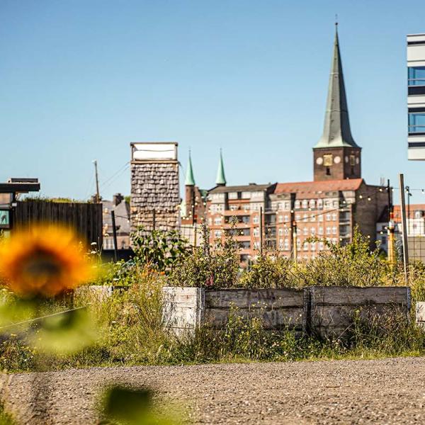 Pier 2 Garden in Aarhus