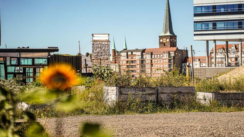 Pier 2 Garden in Aarhus