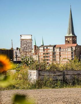 Pier 2 Garden in Aarhus